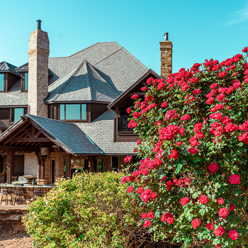 residential photography in Lubbock Texas beautiful with spring and summer blooms