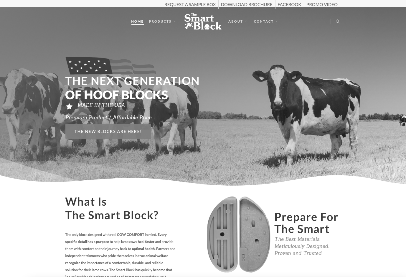 The Smart Block Website Design