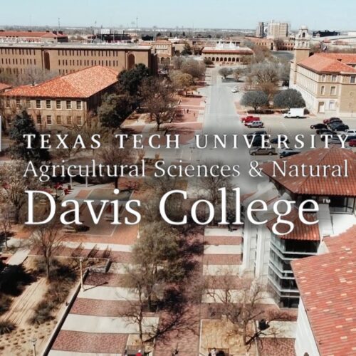 The Davis College at Texas Tech University in Lubbock TX video by the video Production company, Cre8ive